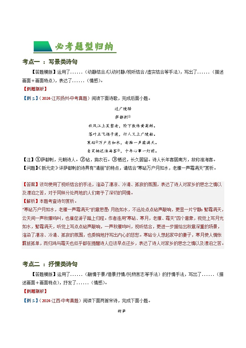 专题09：古诗词鉴赏之诗句赏析-备战2025年中考语文一轮复习古代诗歌阅读（全国通用）解析版第3页