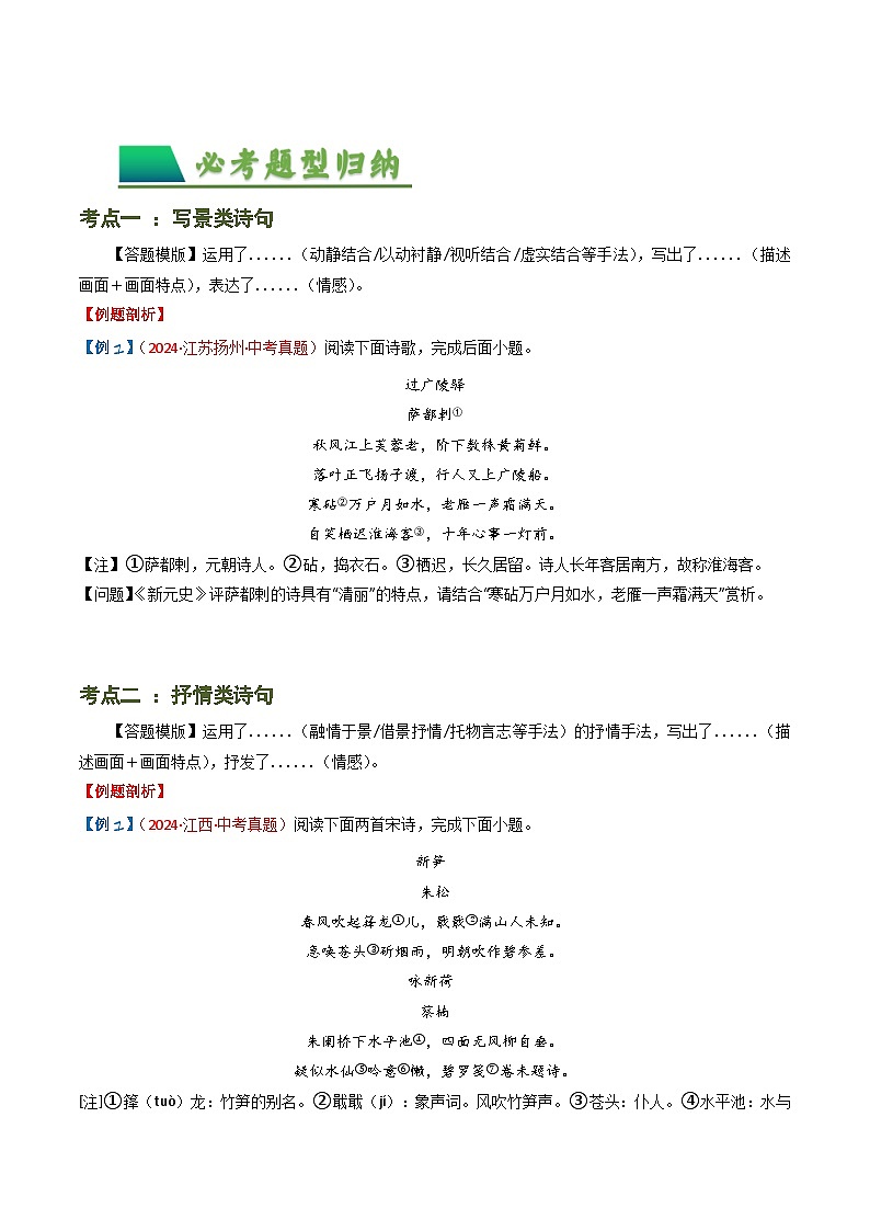 专题09：古诗词鉴赏之诗句赏析-备战2025年中考语文一轮复习古代诗歌阅读（全国通用）原卷版第3页