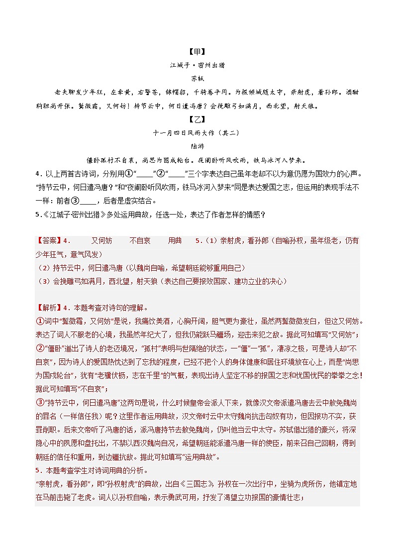 专题28：九下古诗词对比阅读精练-备战2025年中考语文一轮复习古代诗歌阅读（全国通用）解析版第3页