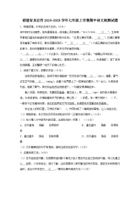 福建省龙岩市2024-2025学年七年级上册期中语文检测试题（附答案）