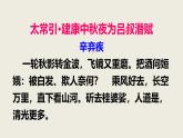 部编版九年级下册第三单元课外古诗词之《太常引·建康中秋夜为吕叔潜赋》同步课件