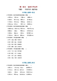 专题一  字音字形提升练（原卷+解析）2025年中考语文一轮复习备考系列