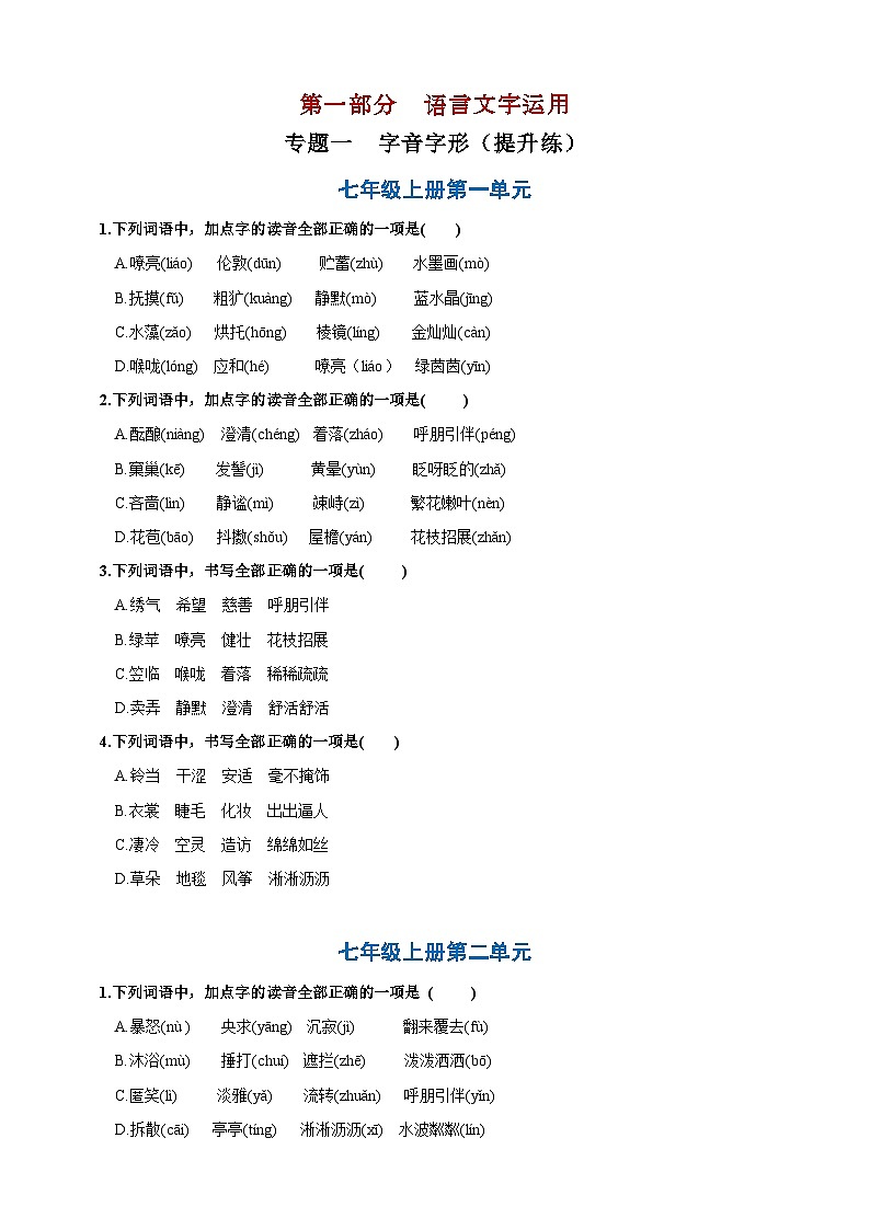 专题一  字音字形提升练（原卷版）第1页