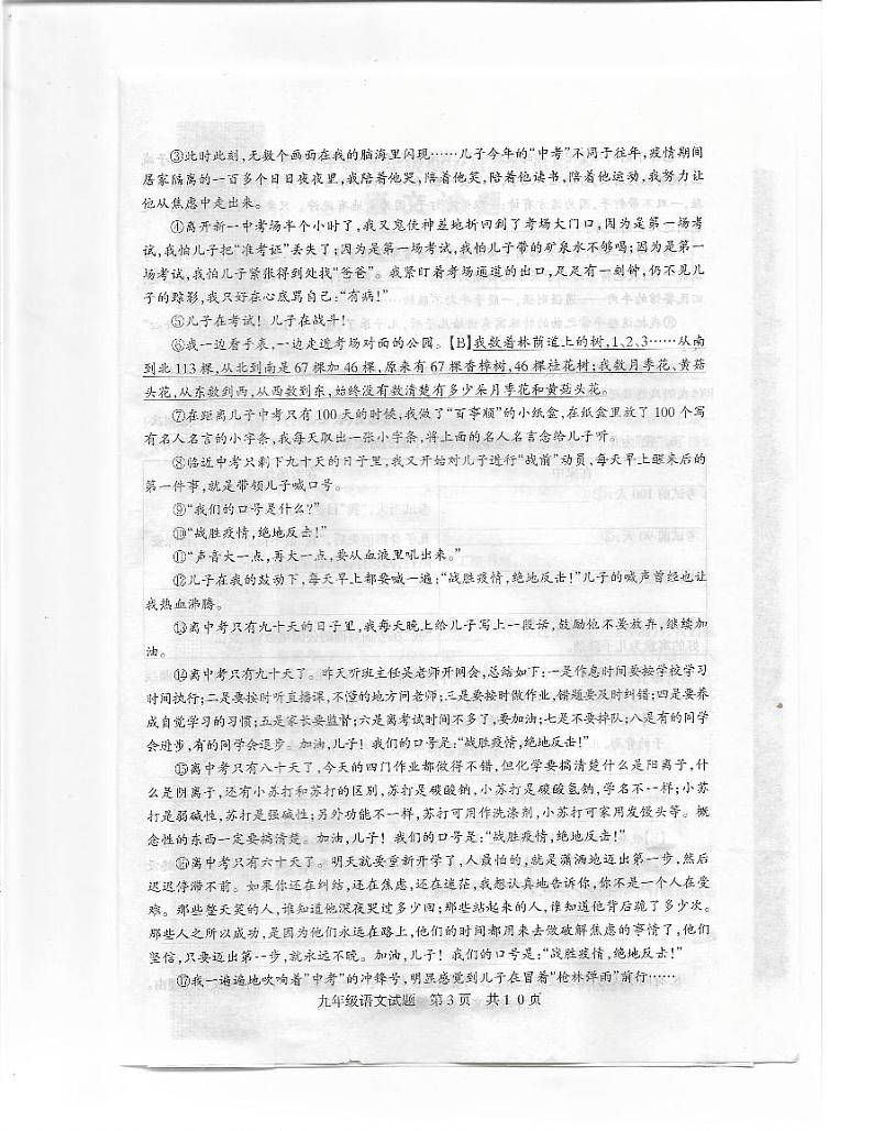 驻马店市上蔡县2023年秋九年级期中教学质量检测语文试题第3页