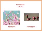 【新課標(biāo)核心素養(yǎng)】部編版語文八年級下冊第5課 大自然的語言 第2課時 課件+同步教案