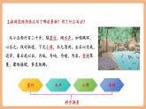 【新课标核心素养】部编版语文八年级下册第10课 小石潭记 第2课时 课件+同步教案