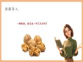 【新課標(biāo)核心素養(yǎng)】部編版語文八年級下冊第11課 核舟記 第1課時(shí) 課件+同步教案+素材