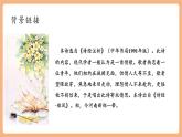 【新课标核心素养】部编版语文八年级下册第三单元 课外古诗词诵读 子衿 课件+同步教案+素材