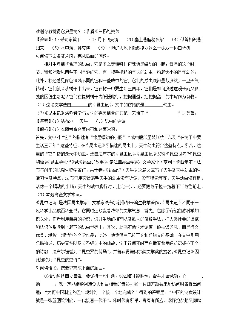 陕西省西安市经开区2022-2023学年八年级（上）期末考试语文试卷（解析版）第2页