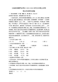 云南省昭通市永善县2023-2024学年九年级（上）期末考试语文试卷（解析版）