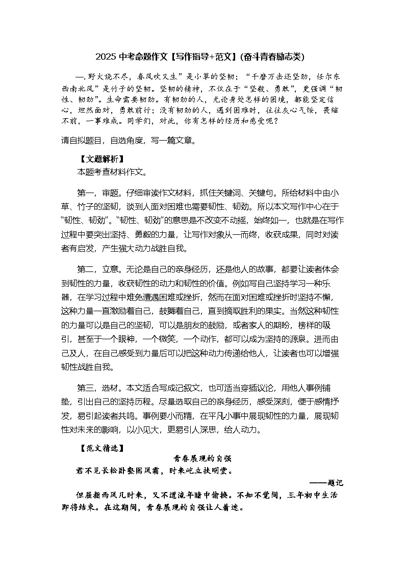 中考语文命题作文专项训练（奋斗青春励志类）第1页