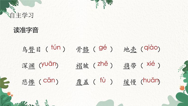 部编版语文八年级下册 6 阿西莫夫短文两篇（恐龙无处不有）课件第5页