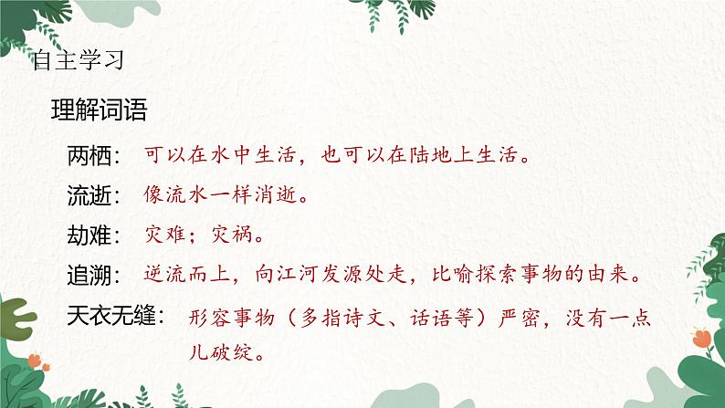 部编版语文八年级下册 6 阿西莫夫短文两篇（恐龙无处不有）课件第6页