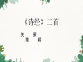 部编版语文八年级下册 12 《诗经》二首——关雎课件