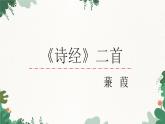部编版语文八年级下册 12 《诗经》二首——蒹葭课件