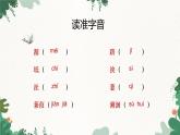部编版语文八年级下册 12 《诗经》二首——蒹葭课件