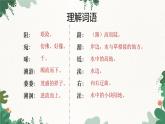 部编版语文八年级下册 12 《诗经》二首——蒹葭课件