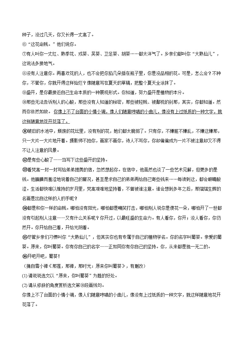 2023-2024学年安徽省蚌埠市蚌山区七年级（上）期末语文试卷（含详细答案解析）第3页