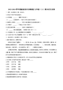 2023-2024学年福建省泉州市鲤城区七年级（上）期末语文试卷（含详细答案解析）