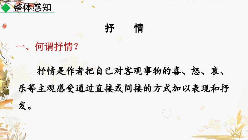 写作 学习抒情第5页