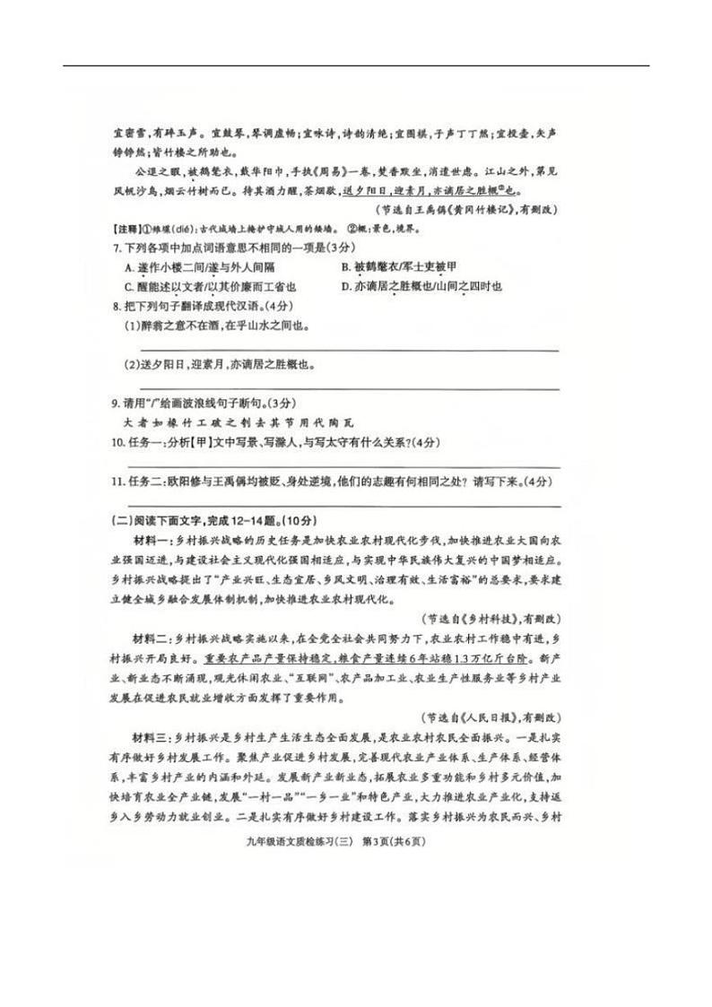 2024～2025学年广东省茂名市电白区九年级(上)第三次月考语文试卷(含答案)第3页