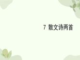 统编版（2024）语文七年级上册 7 散文诗二首课件