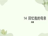 统编版（2024）语文七年级上册 14 回忆我的母亲课件