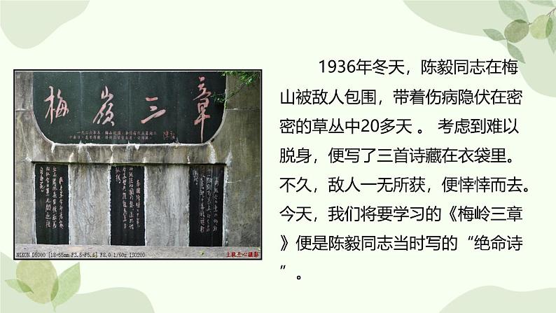 统编版（2024）语文七年级上册 15 梅岭三章课件第3页