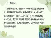 统编版（2024）语文七年级上册 17 猫课件
