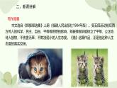 统编版（2024）语文七年级上册 17 猫课件