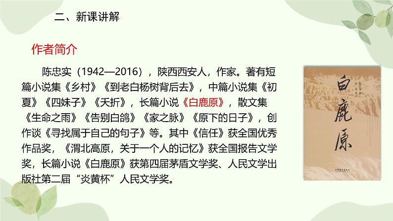 统编版（2024）语文七年级上册 18 我的白鸽课件第3页