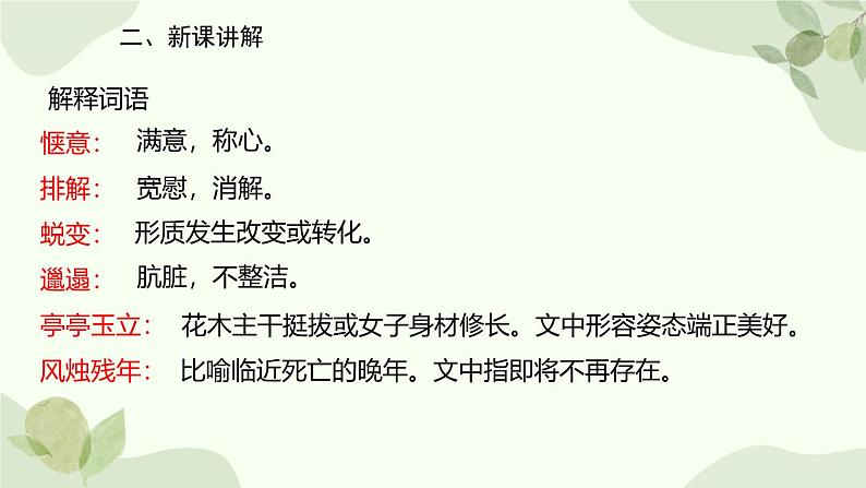 统编版（2024）语文七年级上册 18 我的白鸽课件第7页