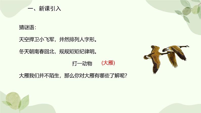 统编版（2024）语文七年级上册 19 大雁归来课件第2页