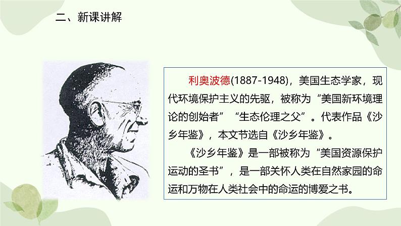 统编版（2024）语文七年级上册 19 大雁归来课件第3页