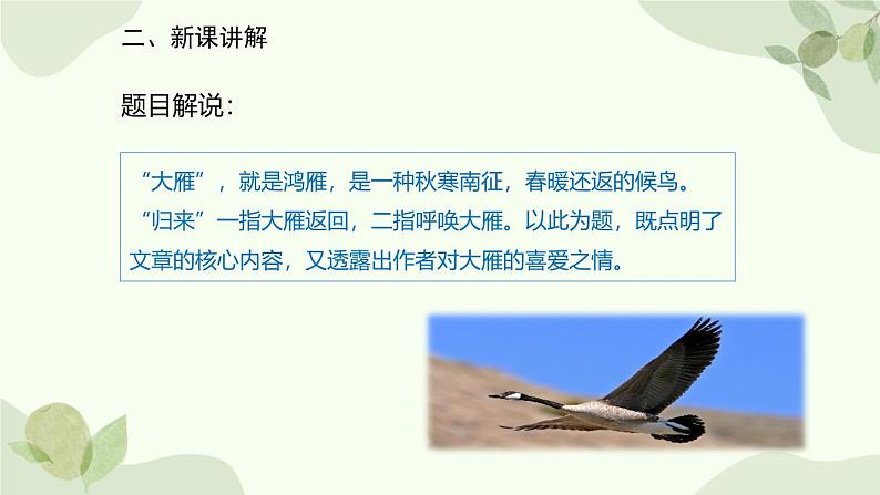 统编版（2024）语文七年级上册 19 大雁归来课件第4页
