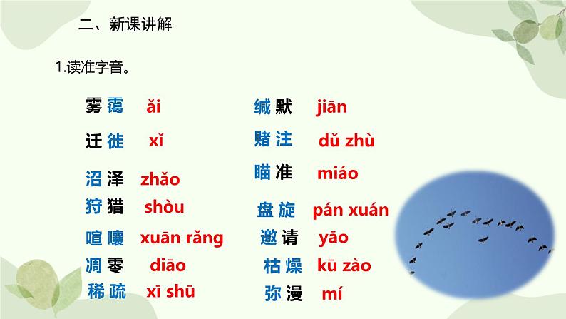 统编版（2024）语文七年级上册 19 大雁归来课件第6页