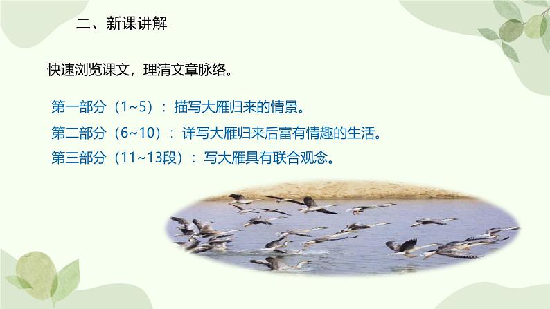 统编版（2024）语文七年级上册 19 大雁归来课件第7页