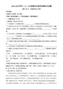 福建省厦门市第十中学2024-2025学年九年级上学期期中语文试题（解析版）-A4