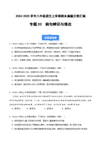 八上语文期末真题汇编专题03 病句辨识与修改（原卷+答案）2024-2025学年上学期期 统编版全国通用