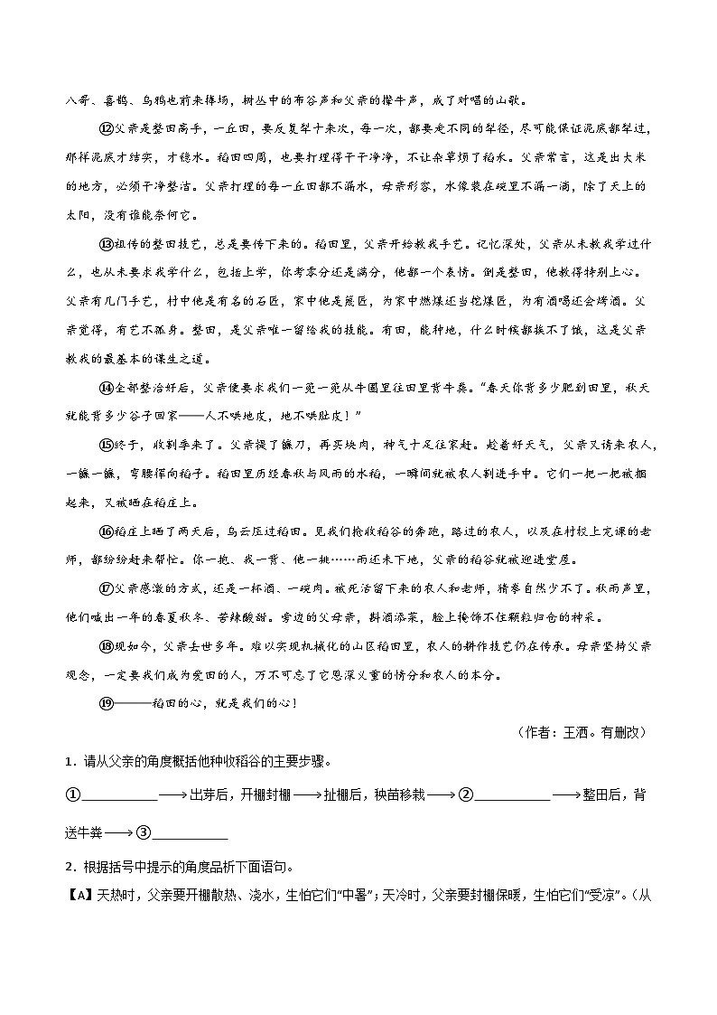 专题19 散文阅读（二）（解析版）2024-2025学年八年级语文上学期期末真题分类汇编第2页