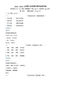 广东省广州市广大附中增城实验中学2022-2023学年八年级上学期期末语文试题（答案）