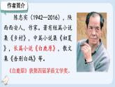 初中语文人教部编版（2024）七年级上册（2024） 18 我的白鸽 课件