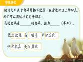 初中语文人教部编版（2024）七年级上册（2024） 18 我的白鸽 课件
