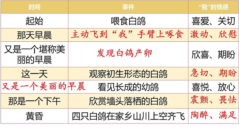 初中语文人教部编版（2024）七年级上册（2024） 18 我的白鸽 课件第8页