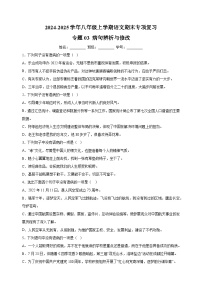 专题03 病句辨析与修改-2024-2025学年八年级上学期语文期末复习练习（统编版）