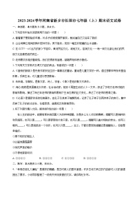2023-2024学年河南省新乡市长垣市七年级（上）期末语文试卷(含详细答案解析)