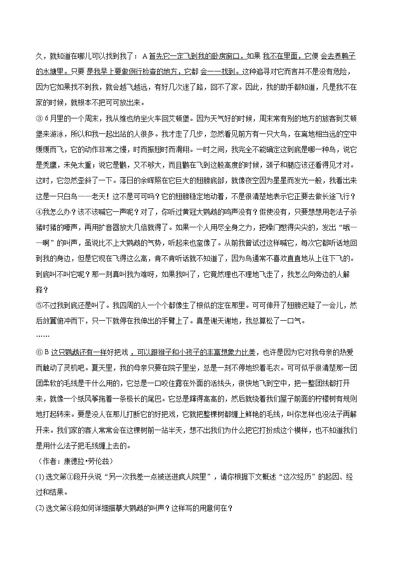 2023-2024学年河南省许昌市禹州市七年级（上）期末语文试卷(含详细答案解析)第3页