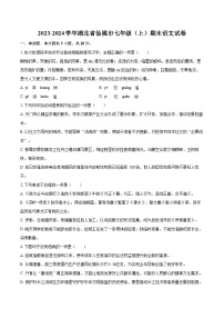 2023-2024学年湖北省仙桃市七年级（上）期末语文试卷(含详细答案解析)