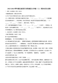 2023-2024学年湖北省黄石市阳新县七年级（上）期末语文试卷(含详细答案解析)