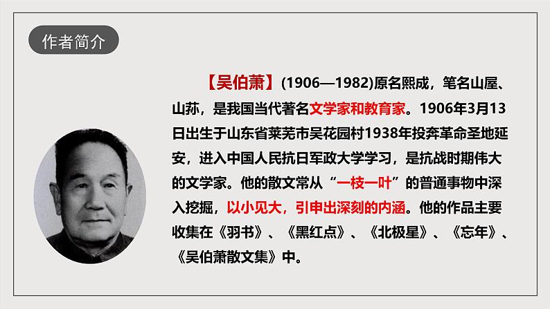 人教部编版语文八年级下册4《灯笼》课件第6页